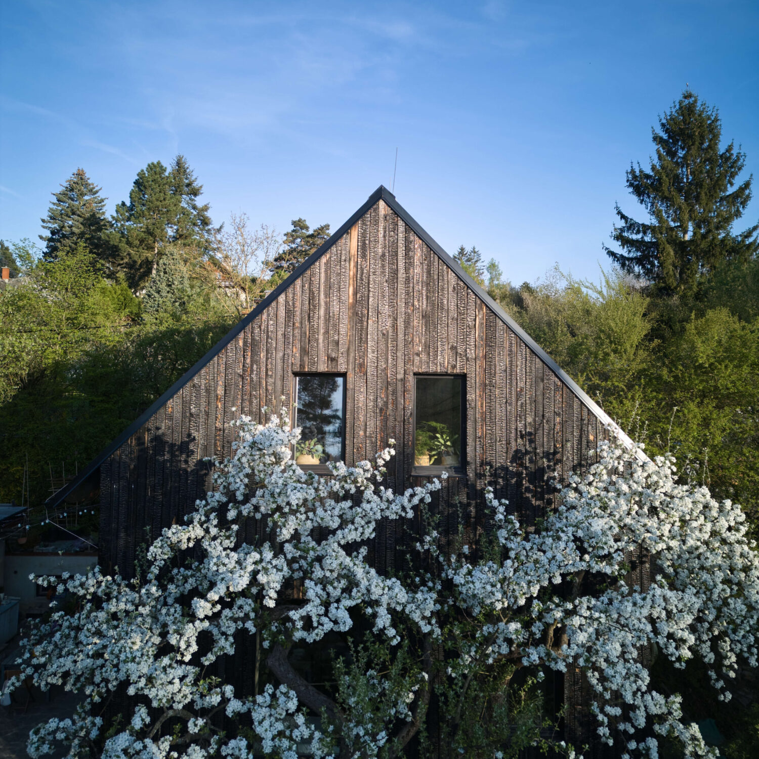 DJI_20250423070627_0081_D