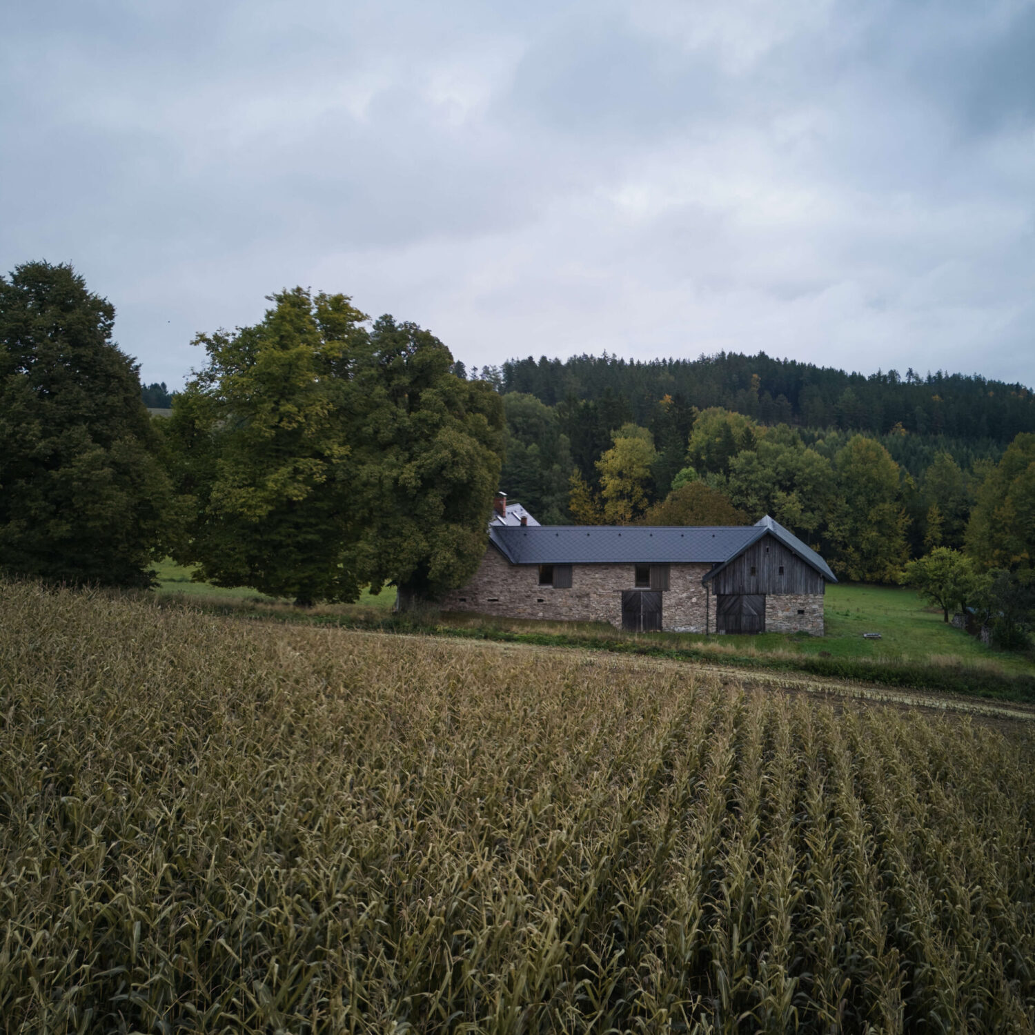 DJI_20251010170908_0047_D